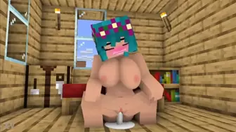 Minecraft Porn Animation Compilations