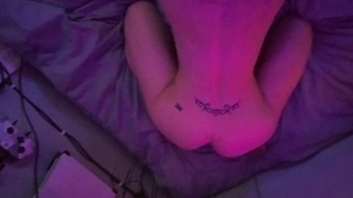 Raven Ragdoll gets Throated and Rear-end sexed